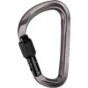 Mammut Workhorse HMS Screwgate Carabiner - Grey -Mammut Avontuur 2040 02560 1502 workhorse hms screwgate karabiner grey 1 962387