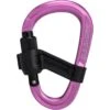 Mammut Smart HMS 2.0 Screwgate Carabiner - Pink -Mammut Avontuur mammut smart hms 20 div 2040 02550 5 1170478